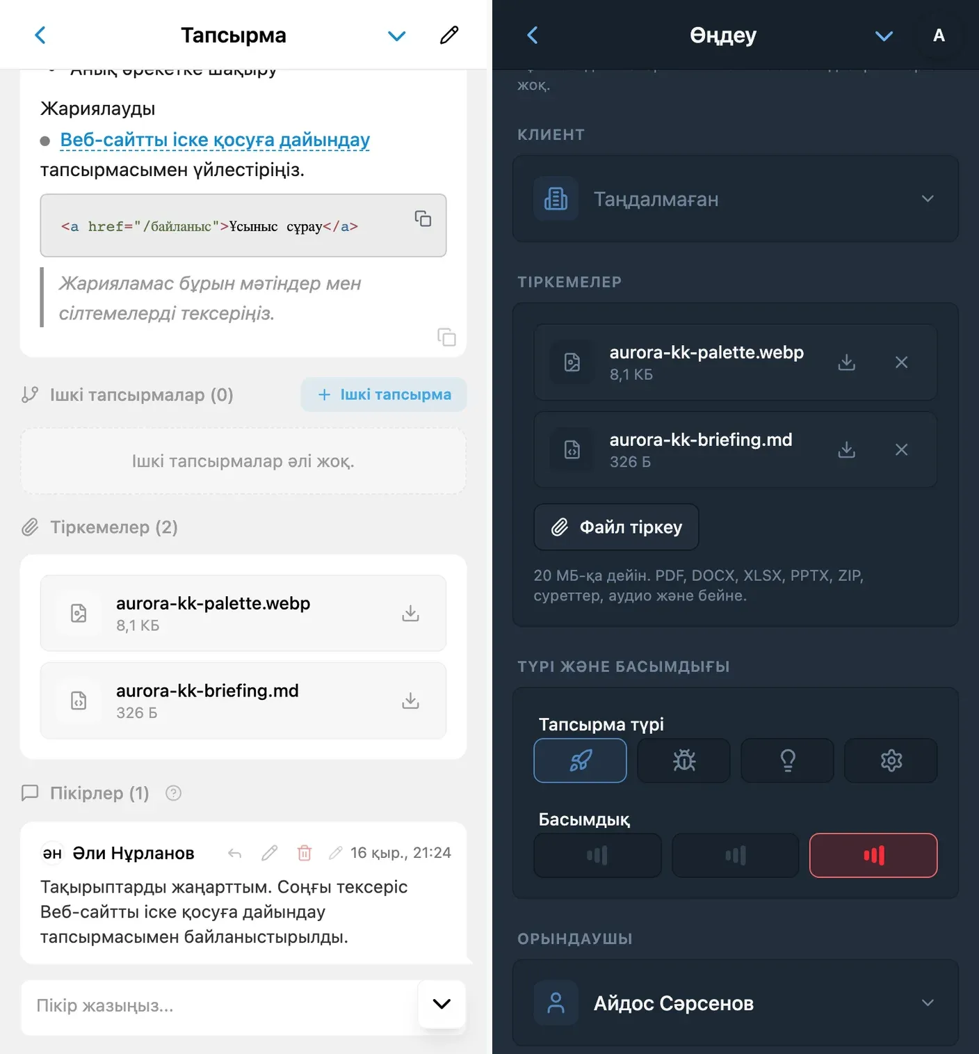 iTasks тапсырма мәліметтері мен өңдеу пішініндегі файлдар