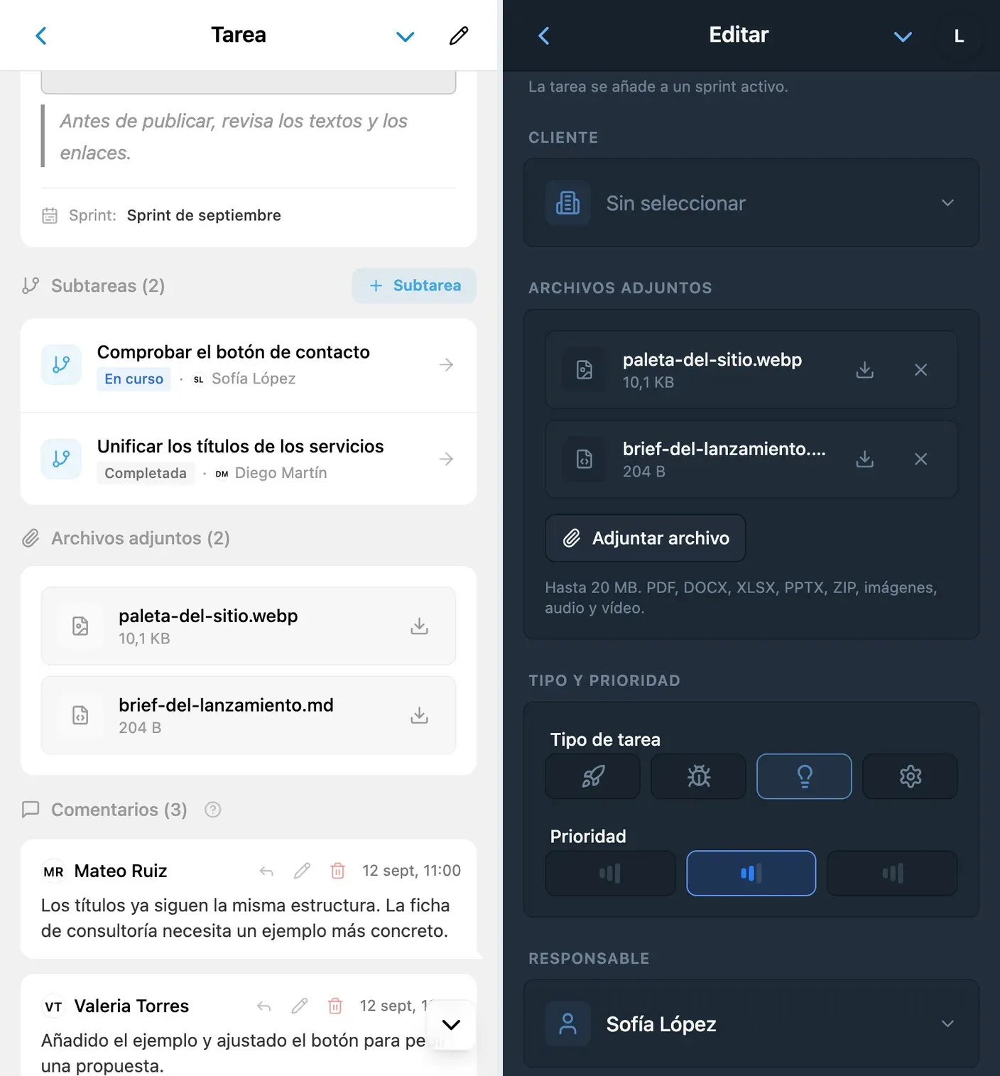 Archivos en los detalles de una tarea y en el formulario de edición de iTasks