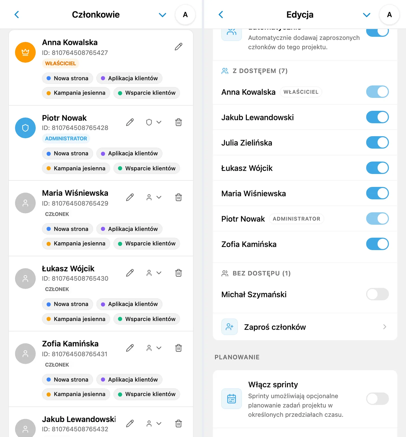 Uprawnienia iTasks: role w obszarze i dostęp do projektów