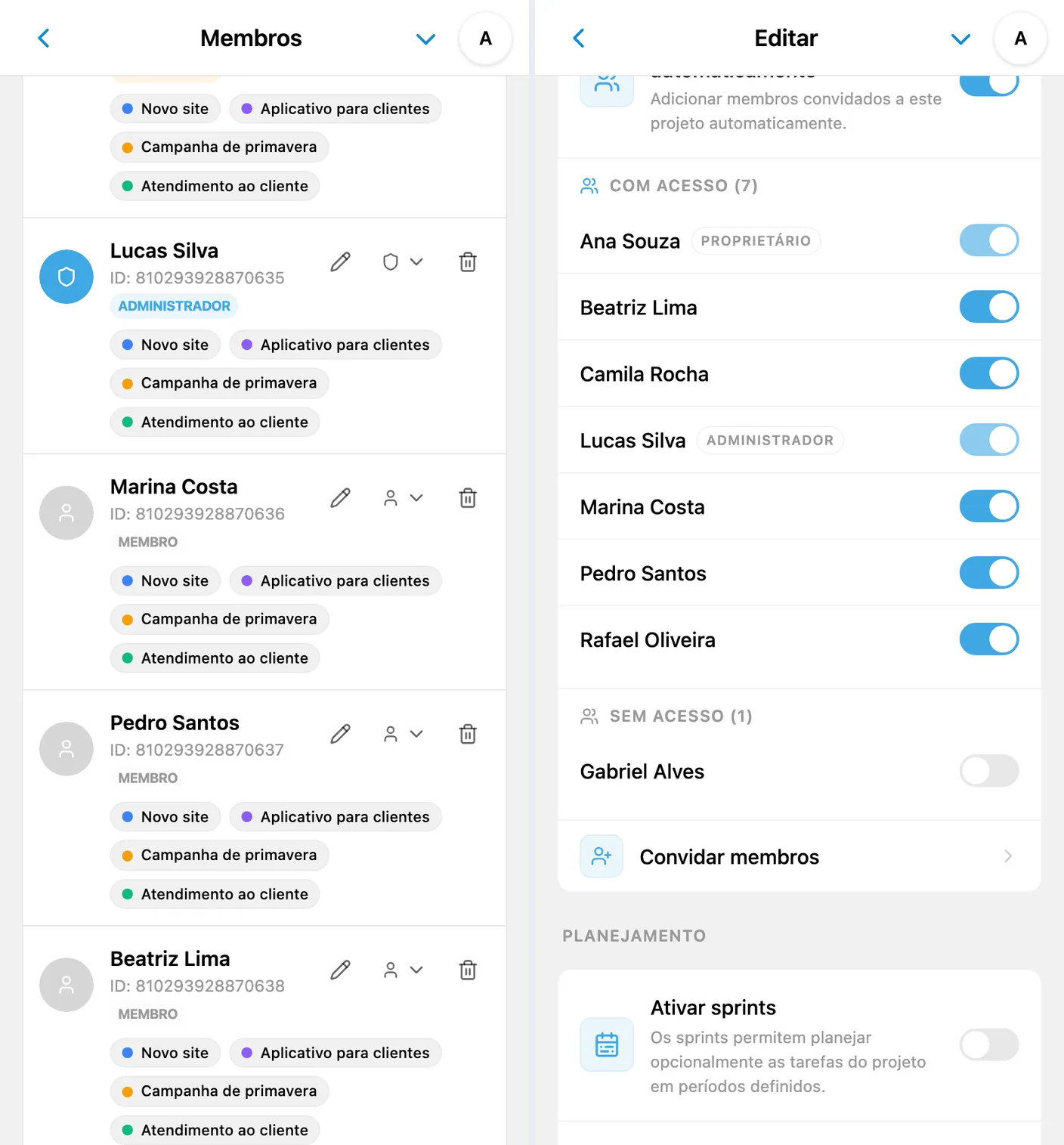 Permissões no iTasks: funções no espaço de trabalho e acesso a projetos individuais