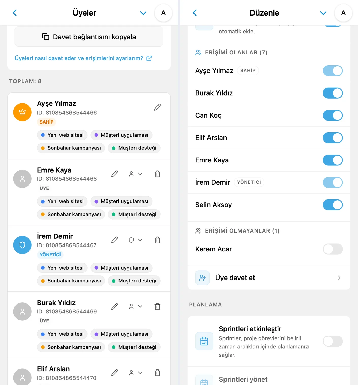 iTasks izinleri: çalışma alanı rolleri ve projelere ayrı erişim