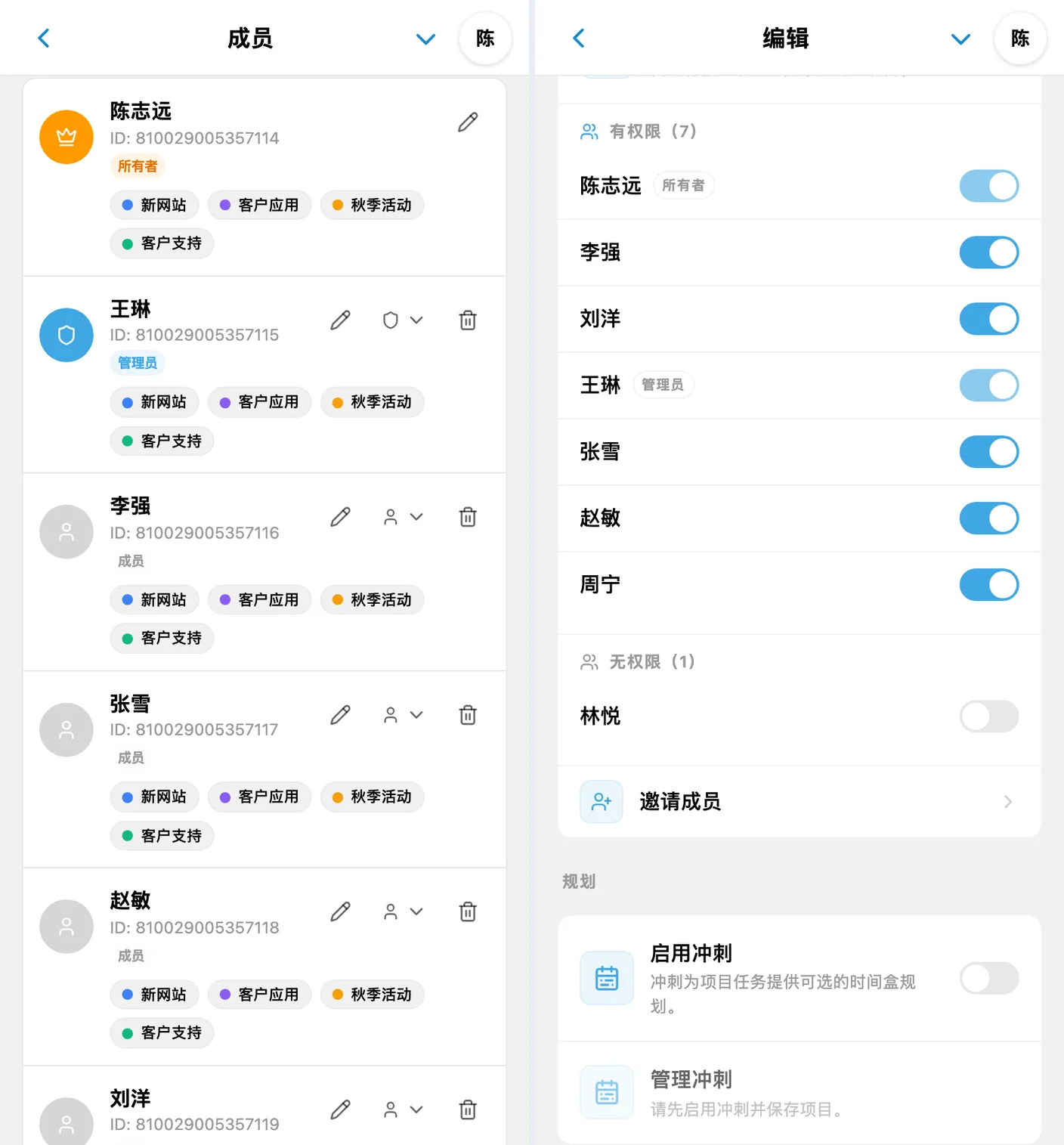 iTasks 权限：工作区角色与单个项目的访问