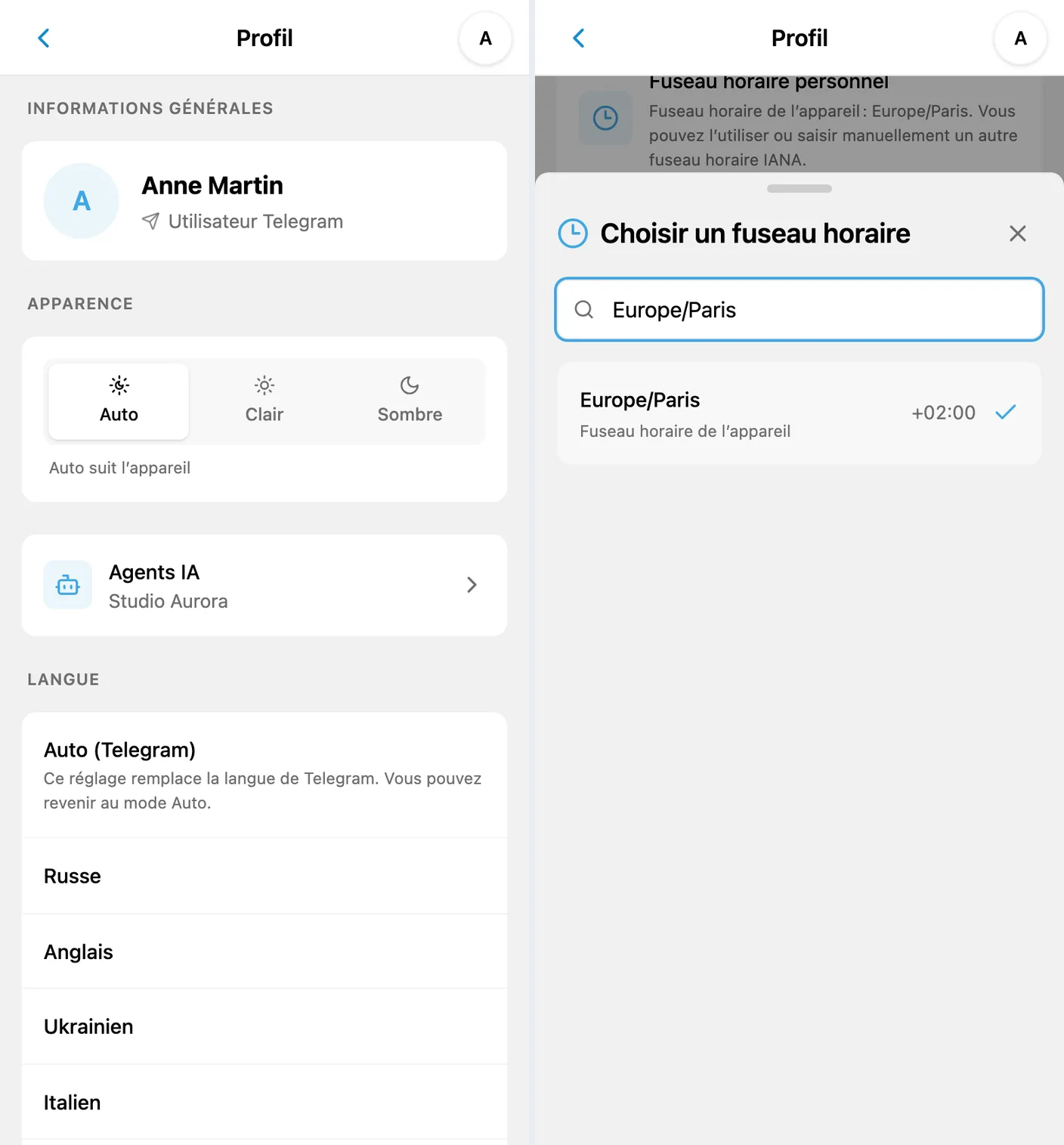 Profil iTasks en français avec la section Apparence et choix du fuseau horaire personnel Europe/Paris