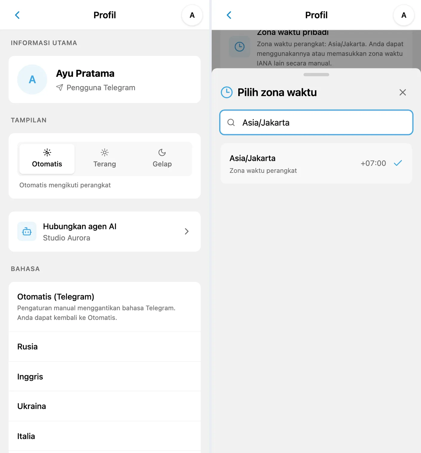 Profil iTasks dengan bagian Tampilan dan pilihan zona waktu pribadi Asia/Jakarta