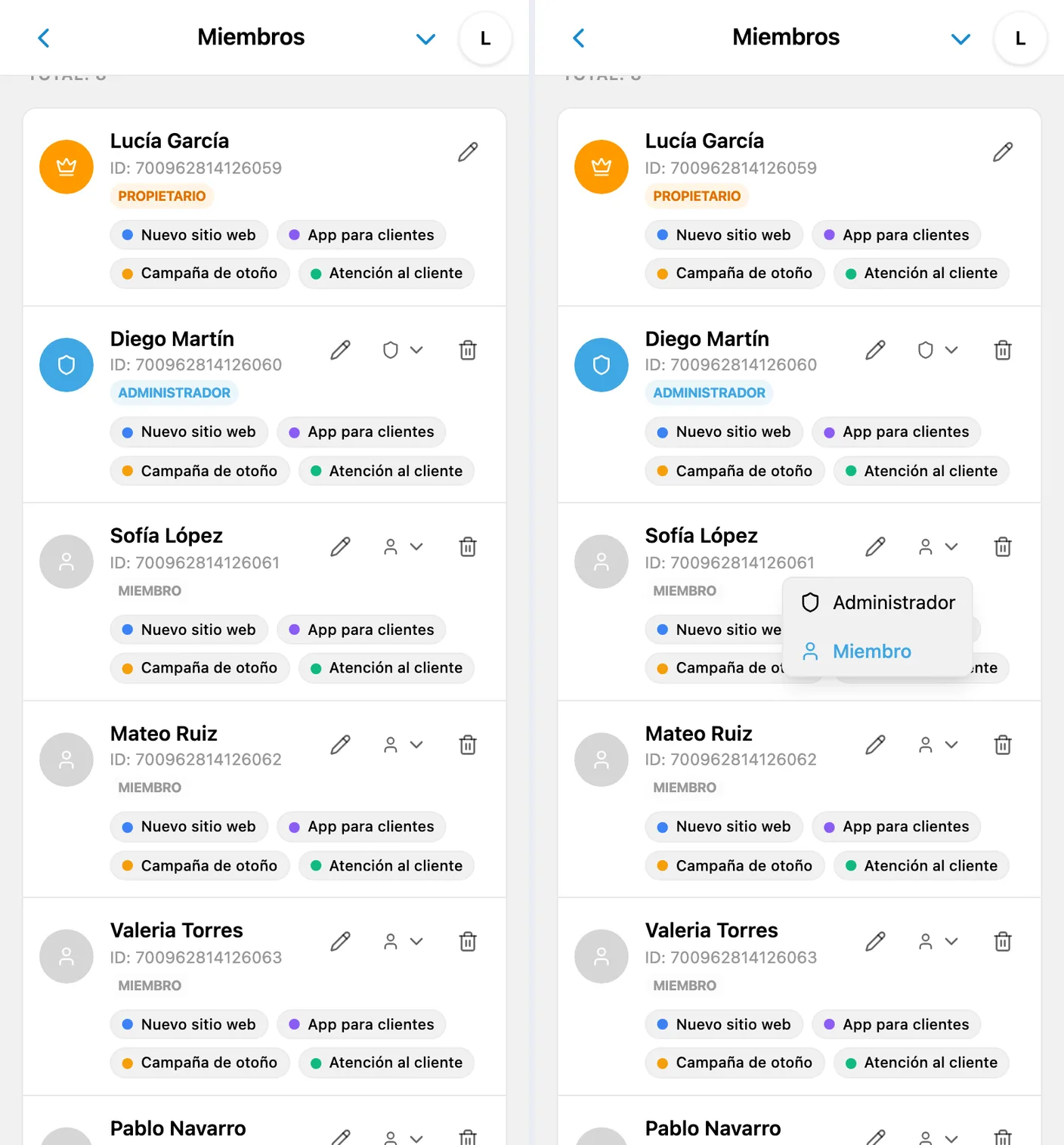 Propietario, administrador y miembros de un espacio de iTasks, con el menú de roles abierto