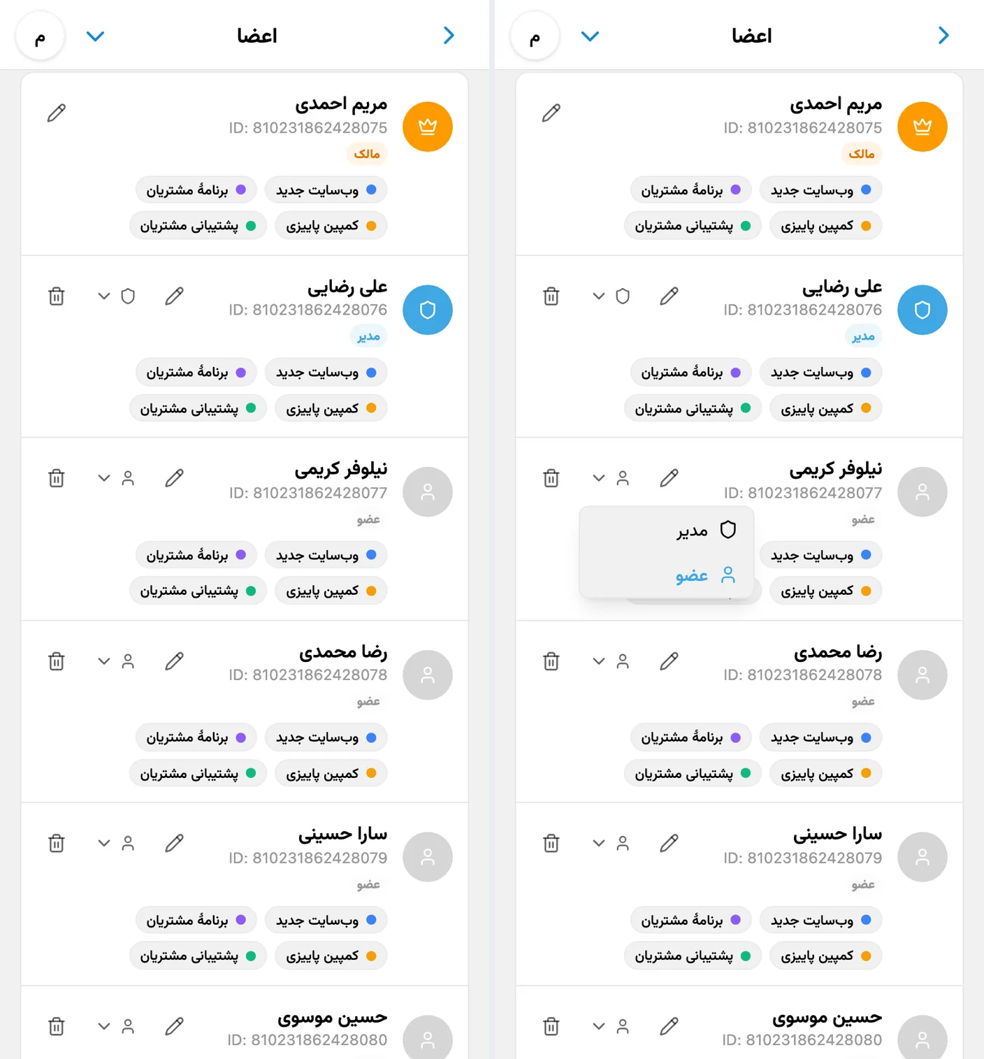 مالک، مدیر و اعضای فضای کاری در iTasks با منوی باز نقش‌ها