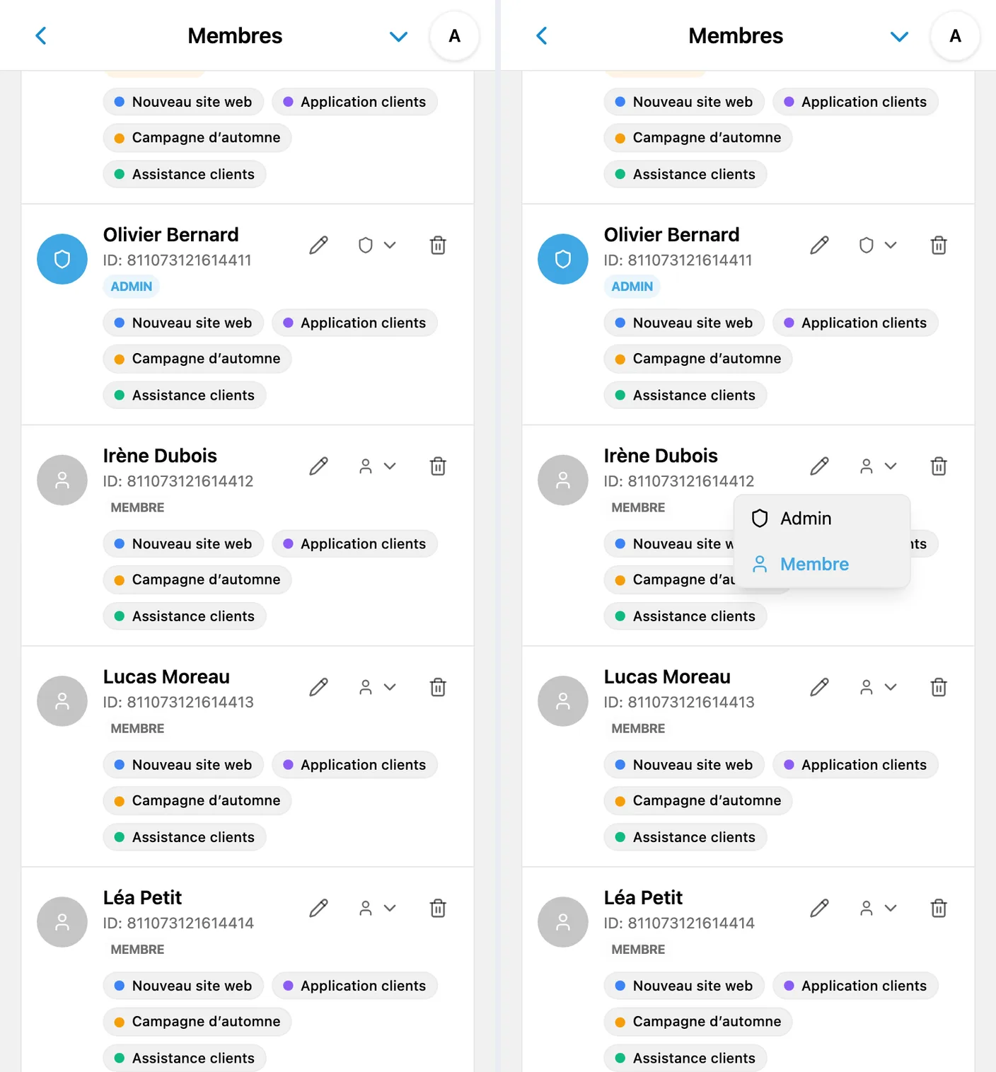 Propriétaire, administrateur et membres dans iTasks, avec le menu des rôles ouvert