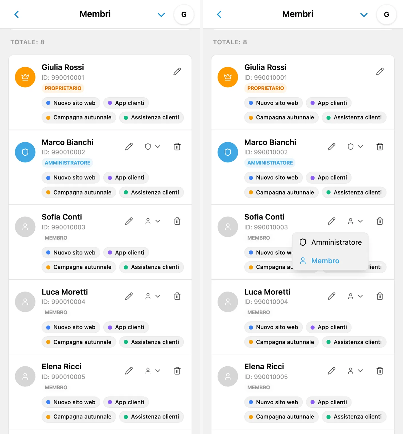 Elenco dei membri dello spazio di lavoro e selezione dei ruoli in iTasks