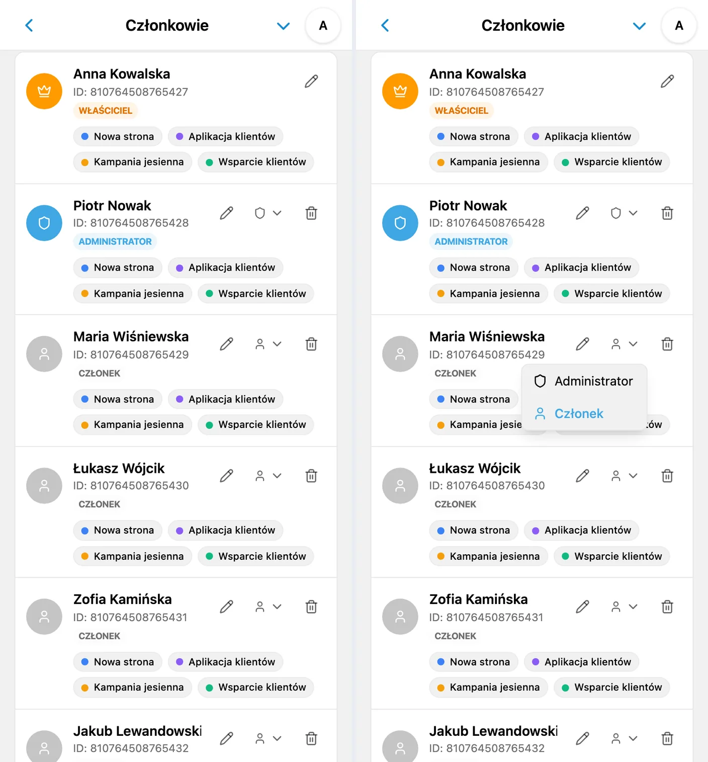 Właściciel, administrator i członkowie w iTasks oraz otwarte menu ról