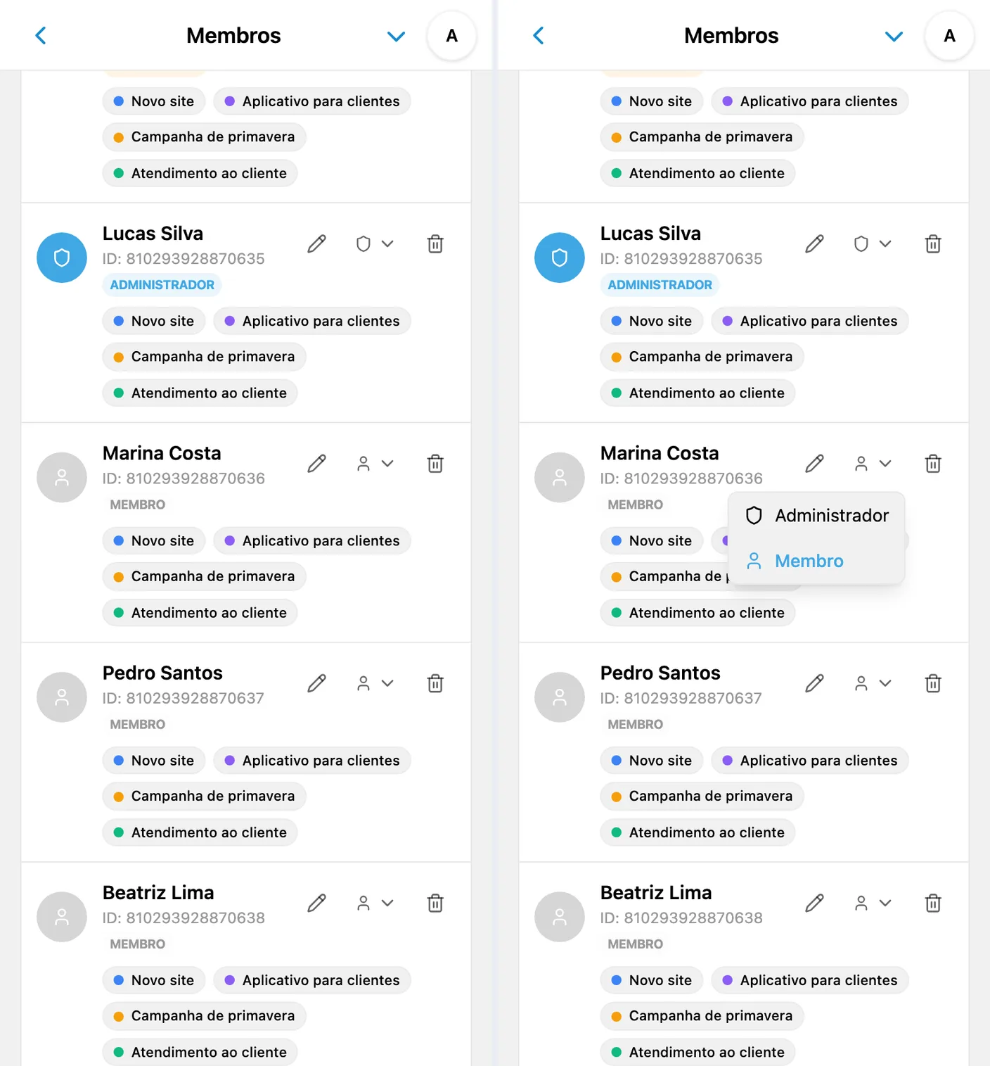 Proprietário, administrador e membros de um espaço do iTasks, com o menu de funções aberto