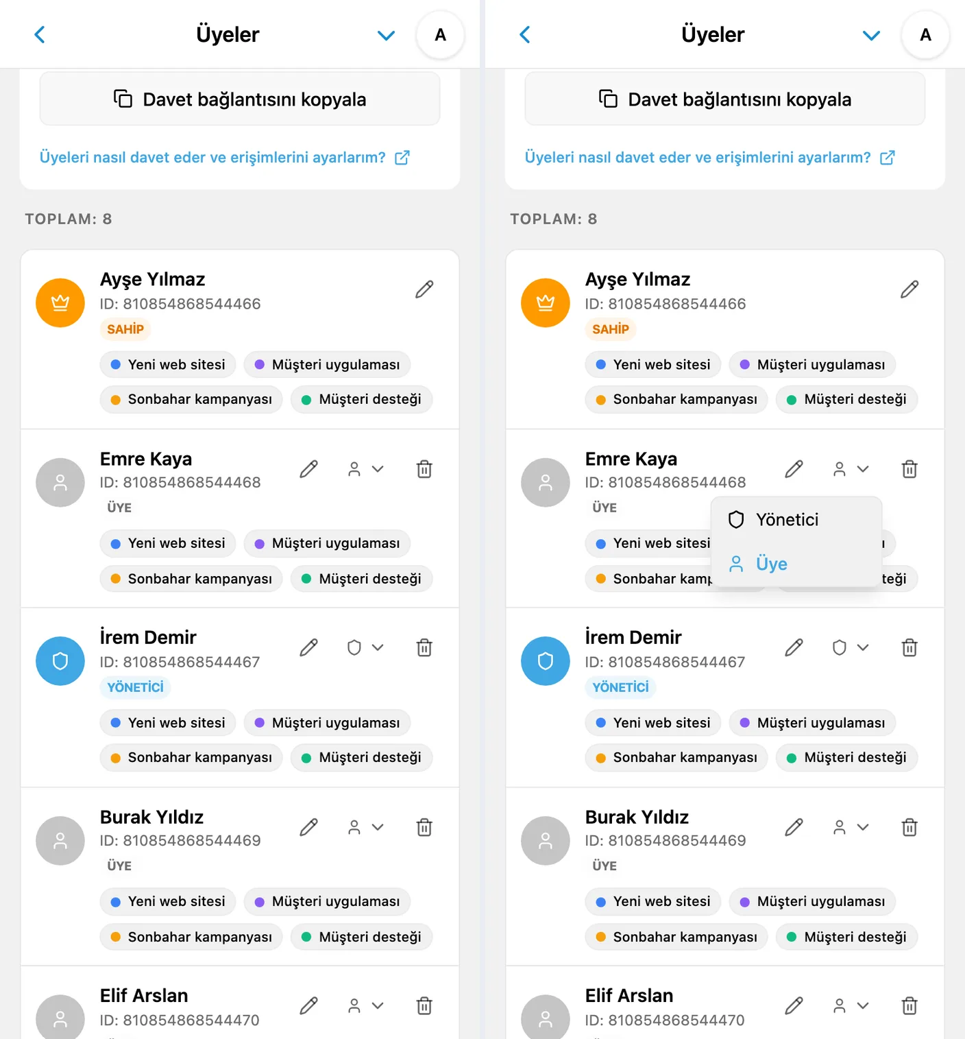 iTasks’ta çalışma alanı sahibi, yönetici ve üyeler; rol menüsü açık