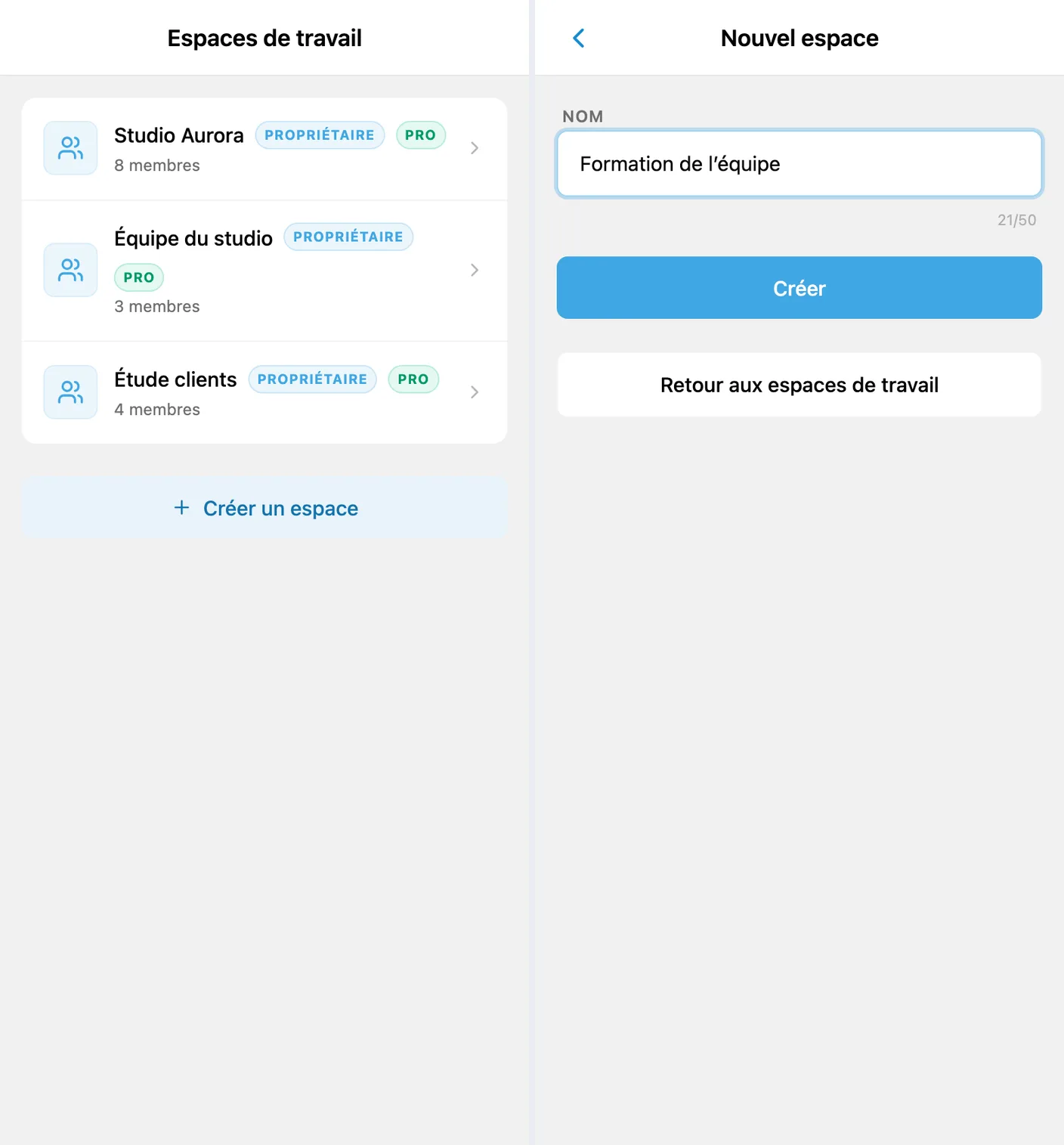 Liste des espaces avec le bouton de création et formulaire du nouvel espace rempli