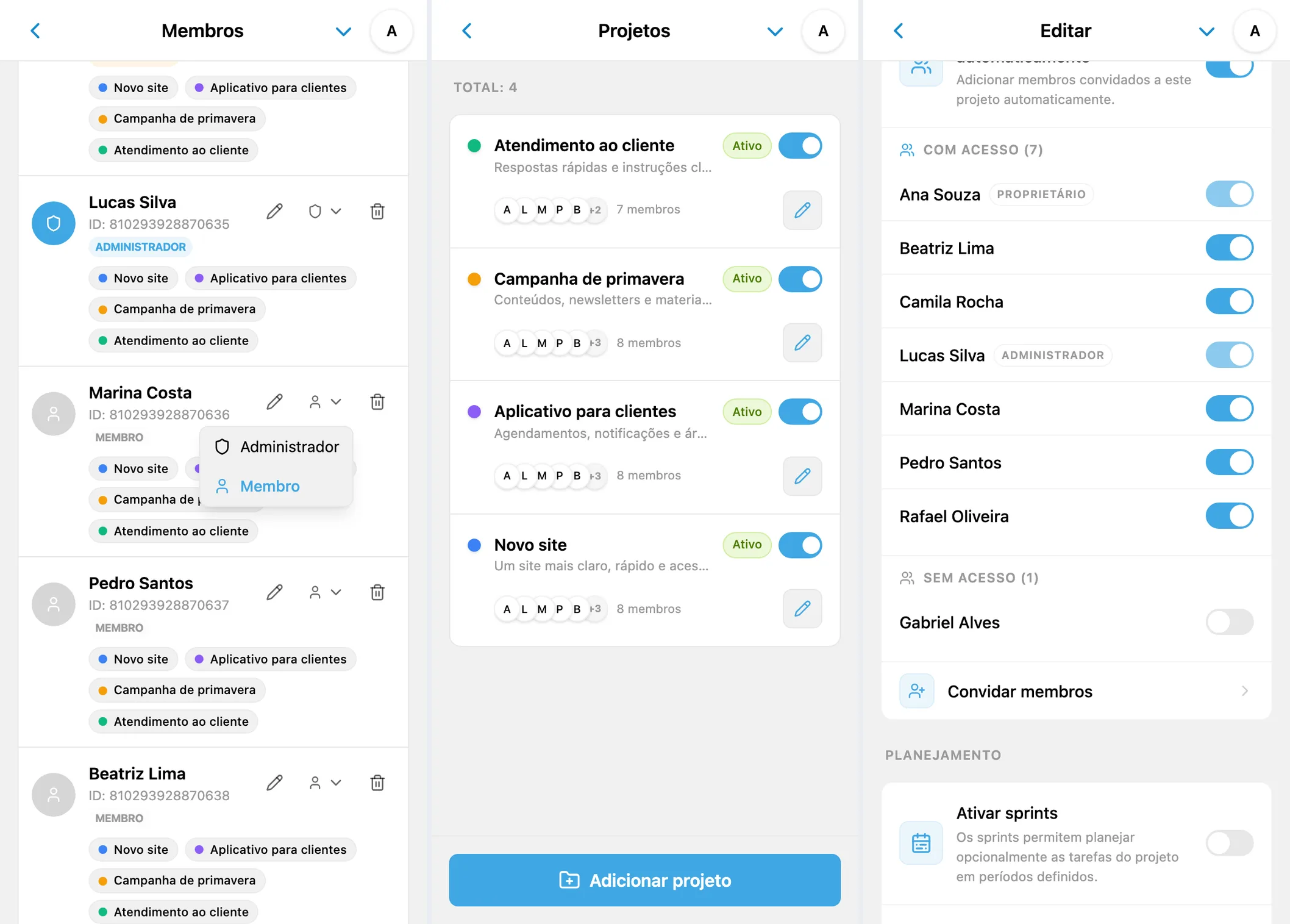 Funções dos membros, lista de projetos e acesso a um projeto específico