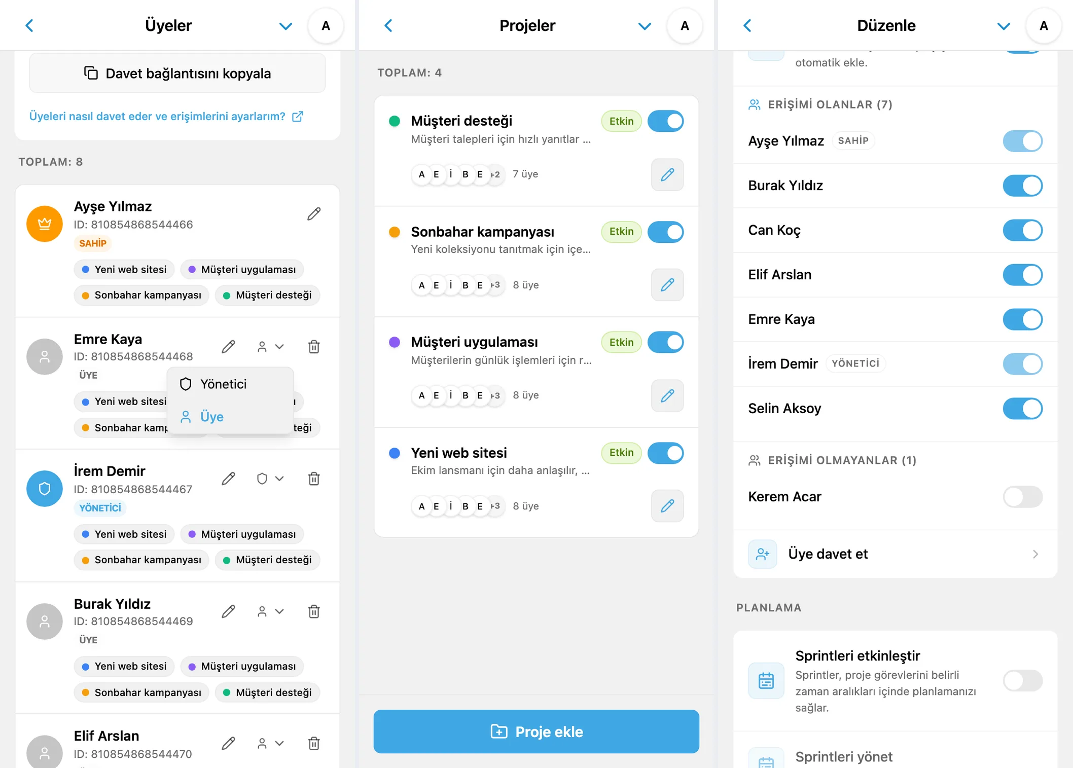 iTasks üye rolleri, proje listesi ve tek bir projeye erişim