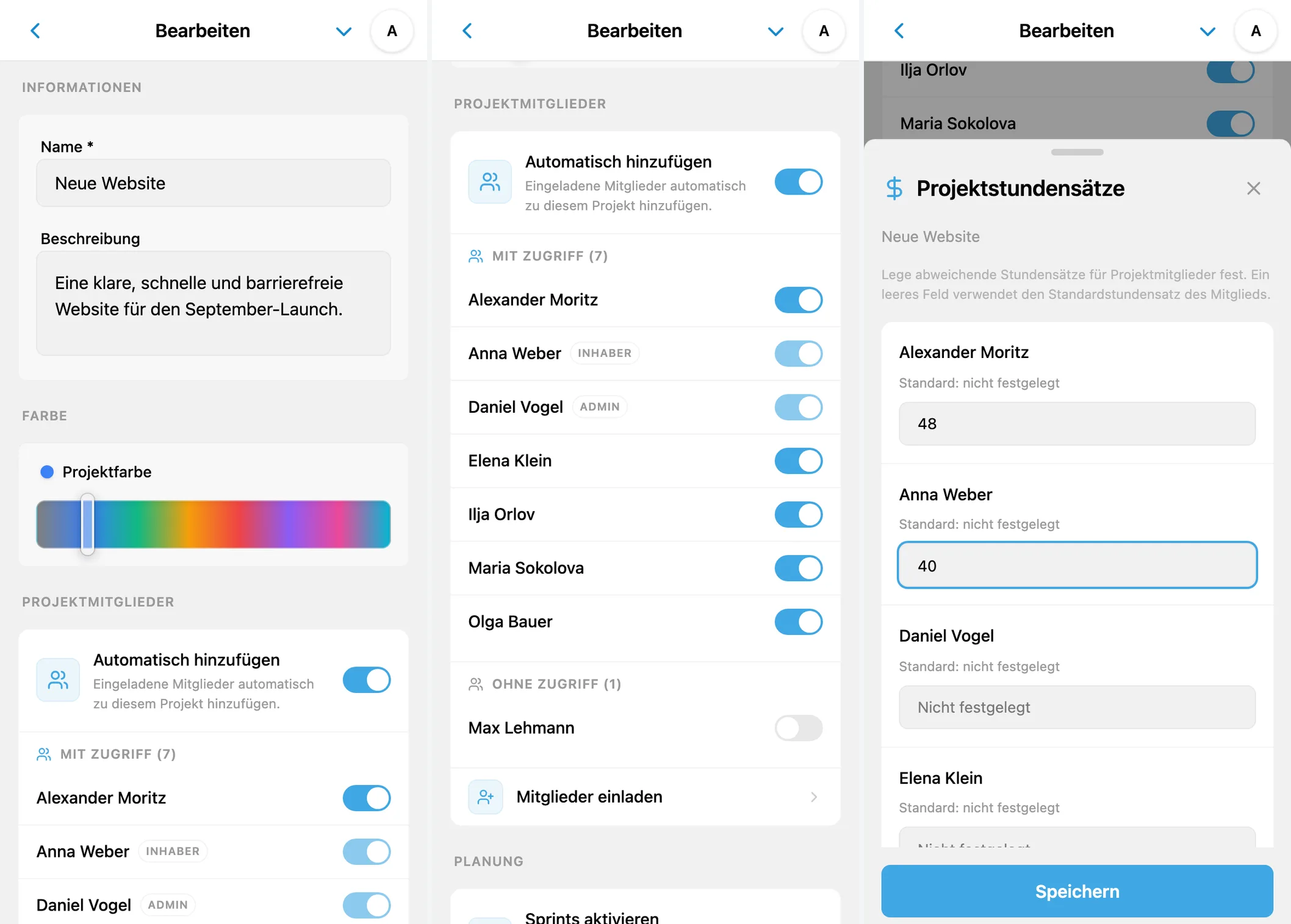 Projekteinstellungen in iTasks: Name, Mitglieder, Zugriff und projektspezifische Stundensätze