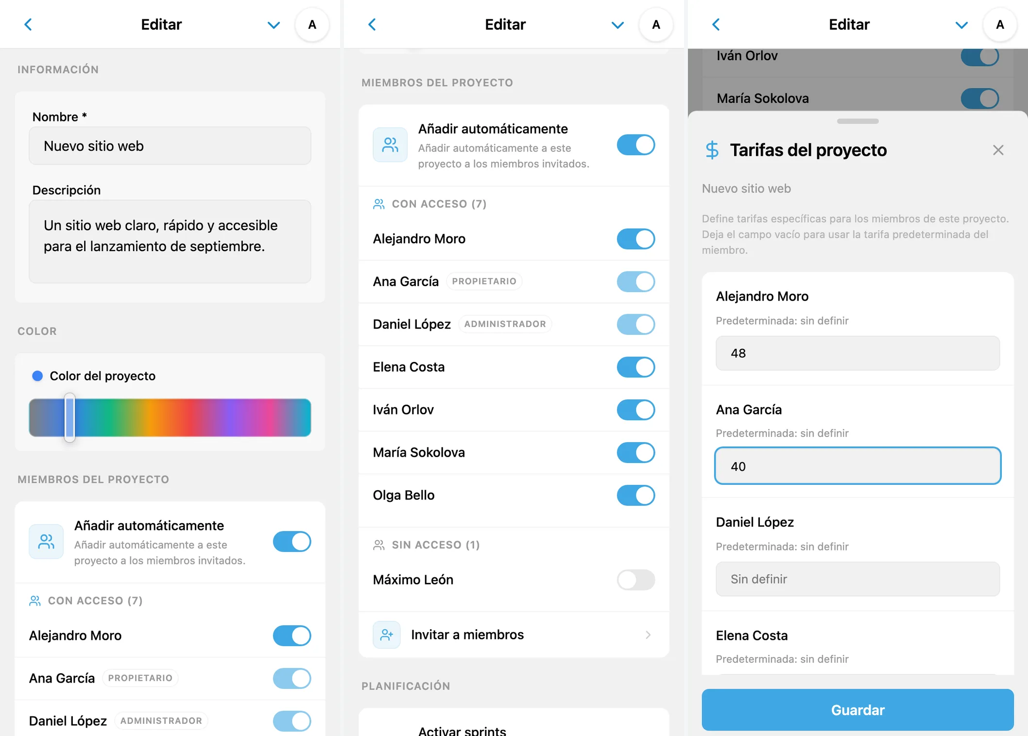 Ajustes de un proyecto de iTasks: nombre, miembros, acceso y tarifas por hora específicas del proyecto