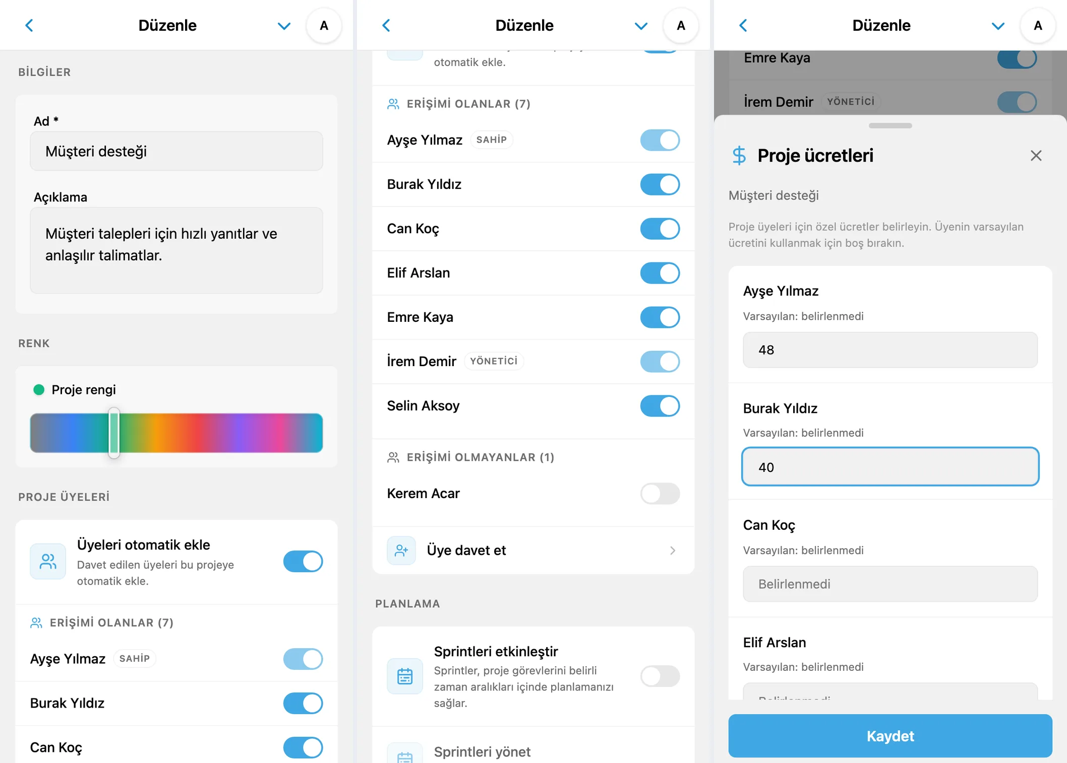 iTasks proje ayarları: ad, üyeler, erişim ve projeye özel saatlik ücretler