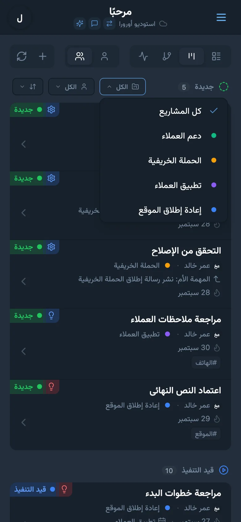 لوحة تصفية المهام حسب المشروع
