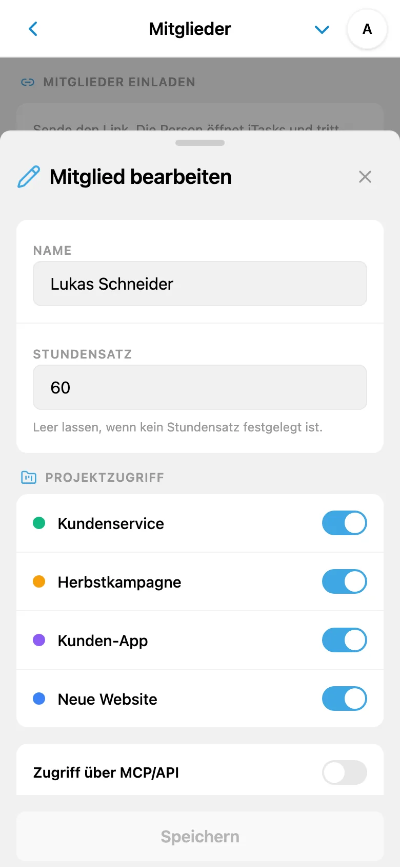 Stundensatz eines Teammitglieds