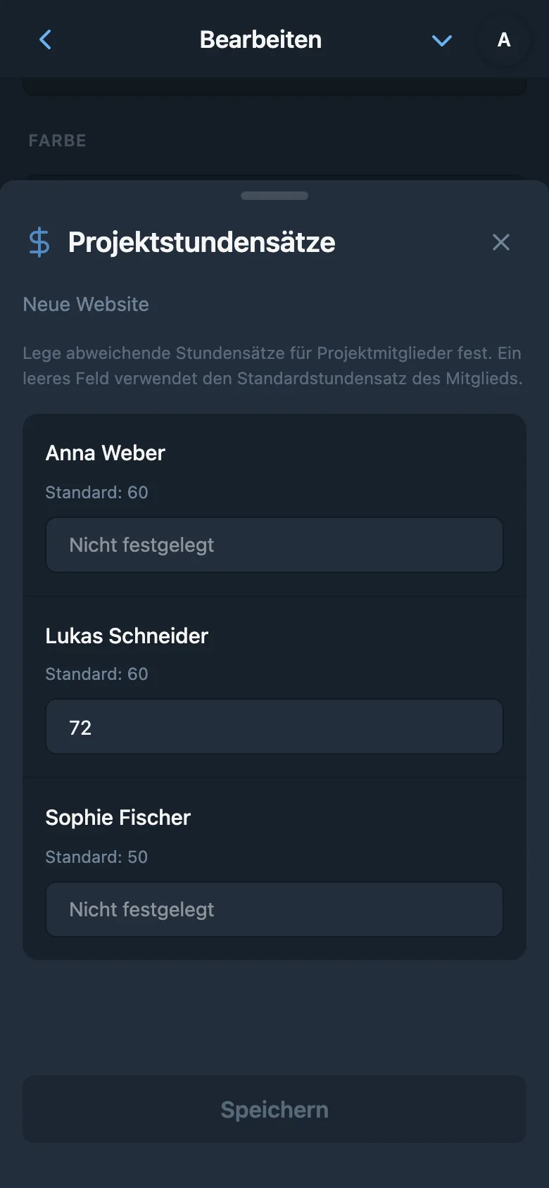 Individuelle Stundensätze der Mitglieder im ausgewählten Projekt