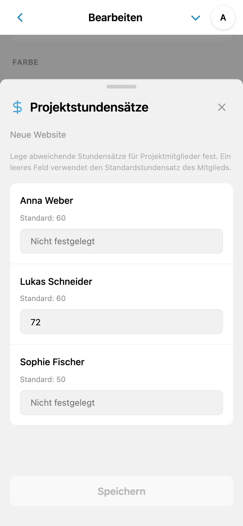 Individuelle Stundensätze der Mitglieder im ausgewählten Projekt