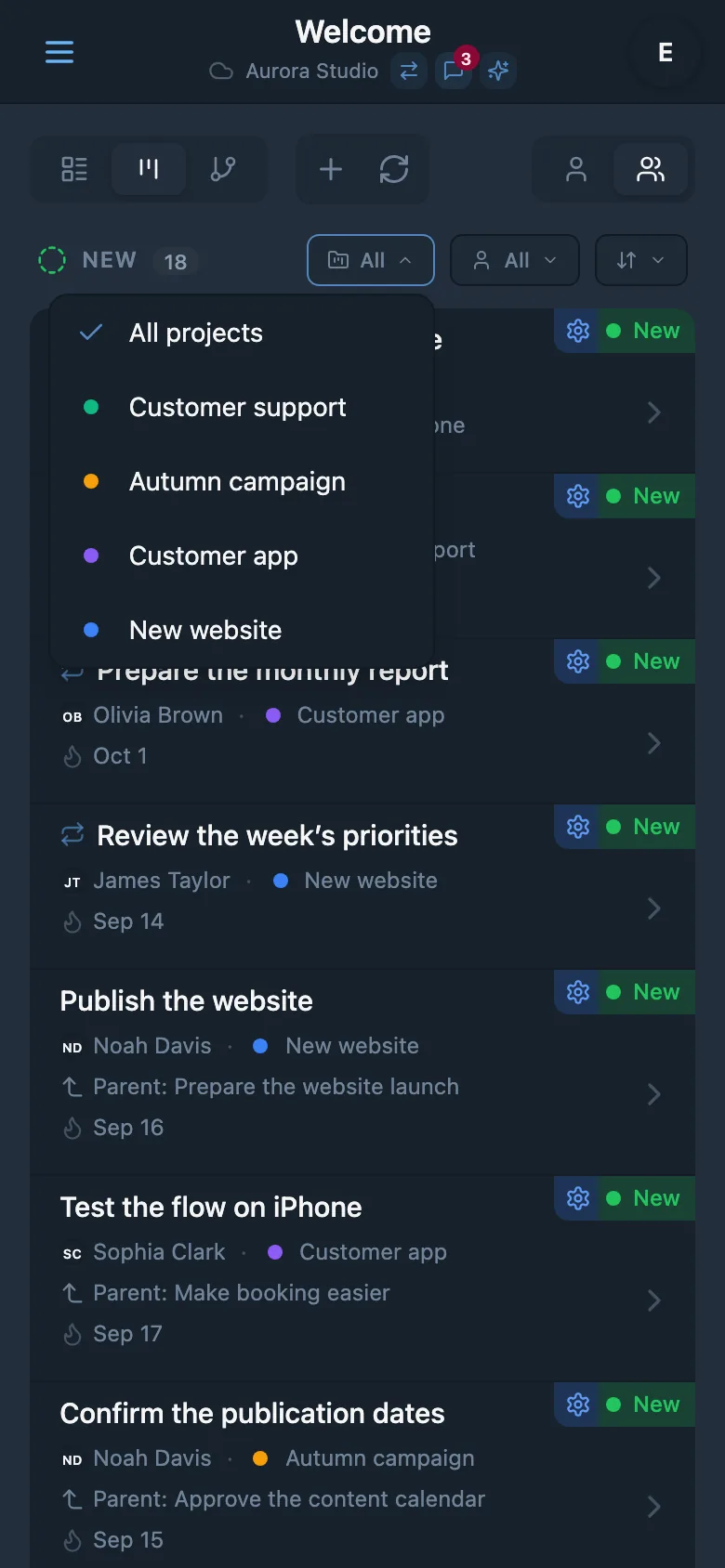 The task project filter panel