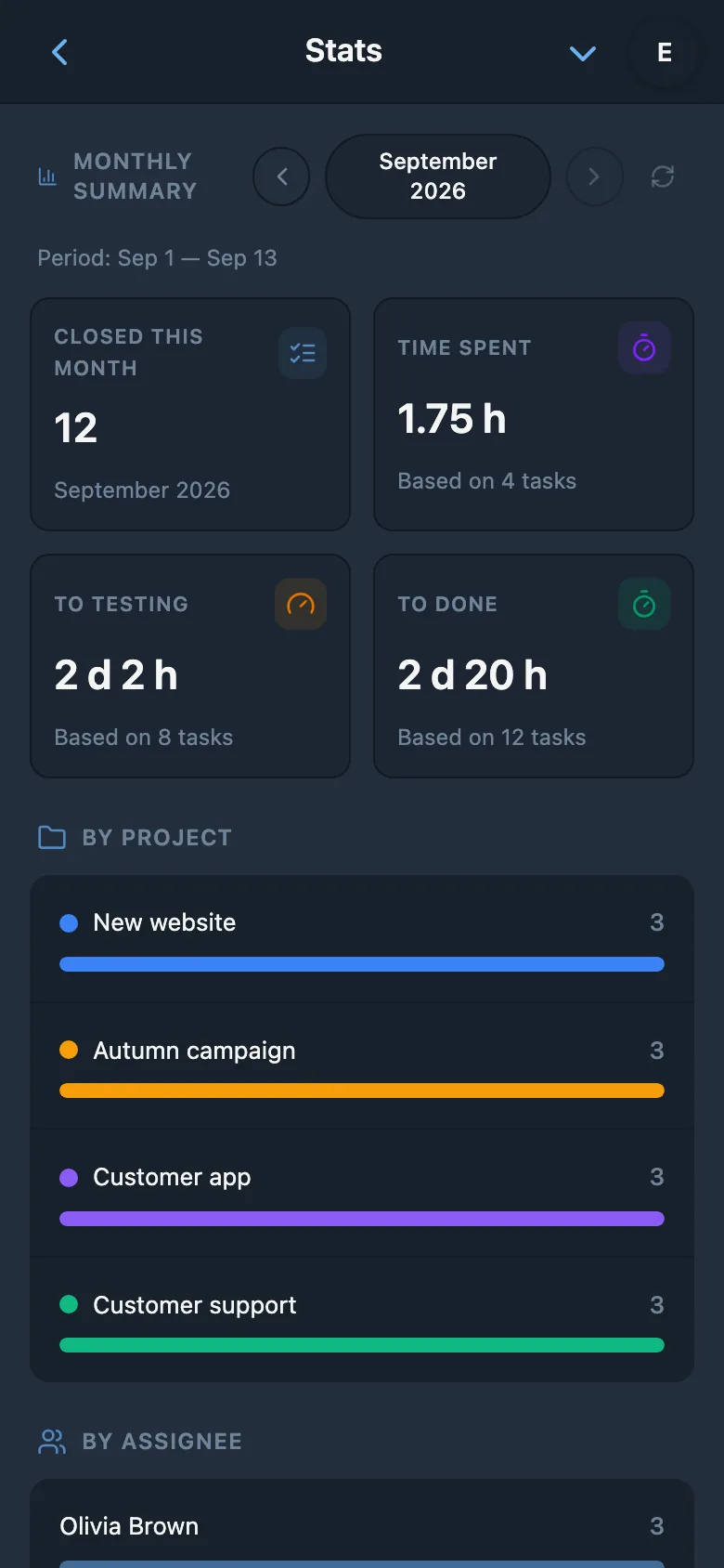 Work statistics by project and team member