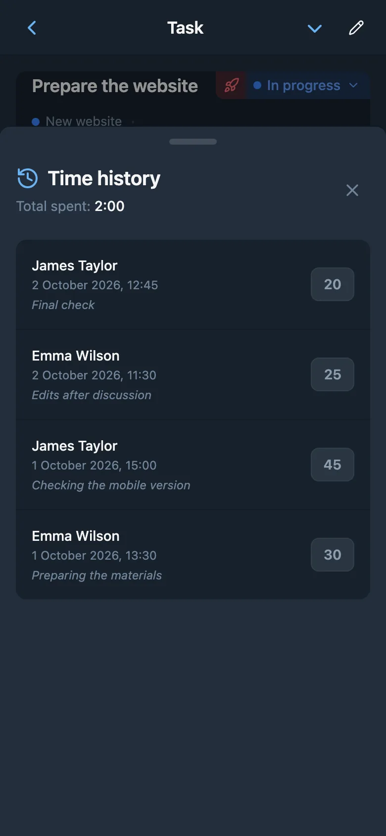 Task time entries with durations and comments