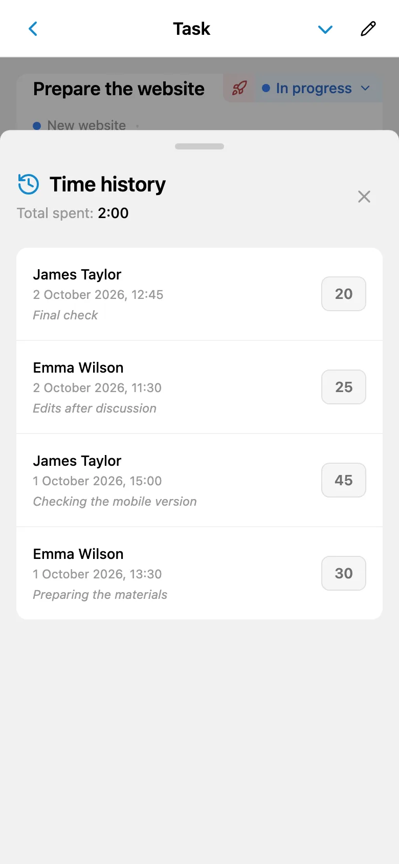 Task time entries with durations and comments