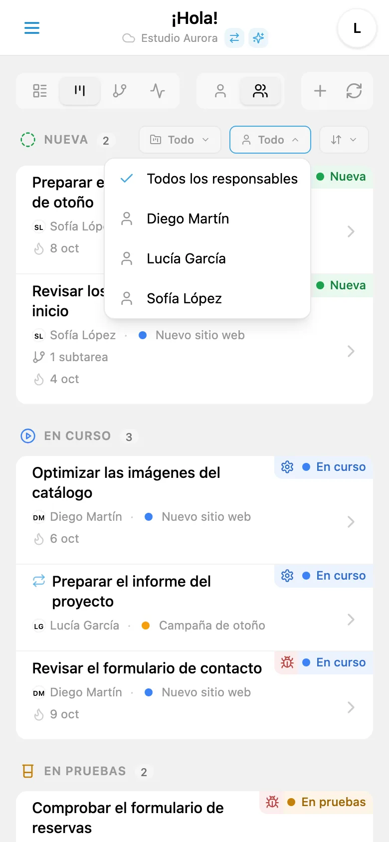 Filtro de tareas por responsable