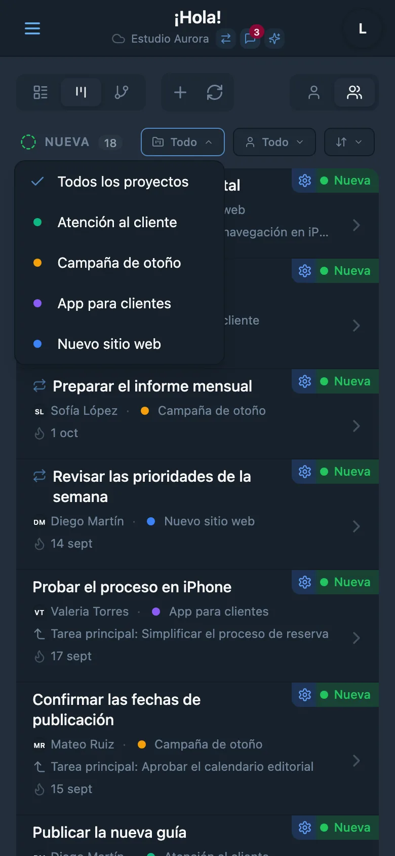 Panel de filtro de tareas por proyecto
