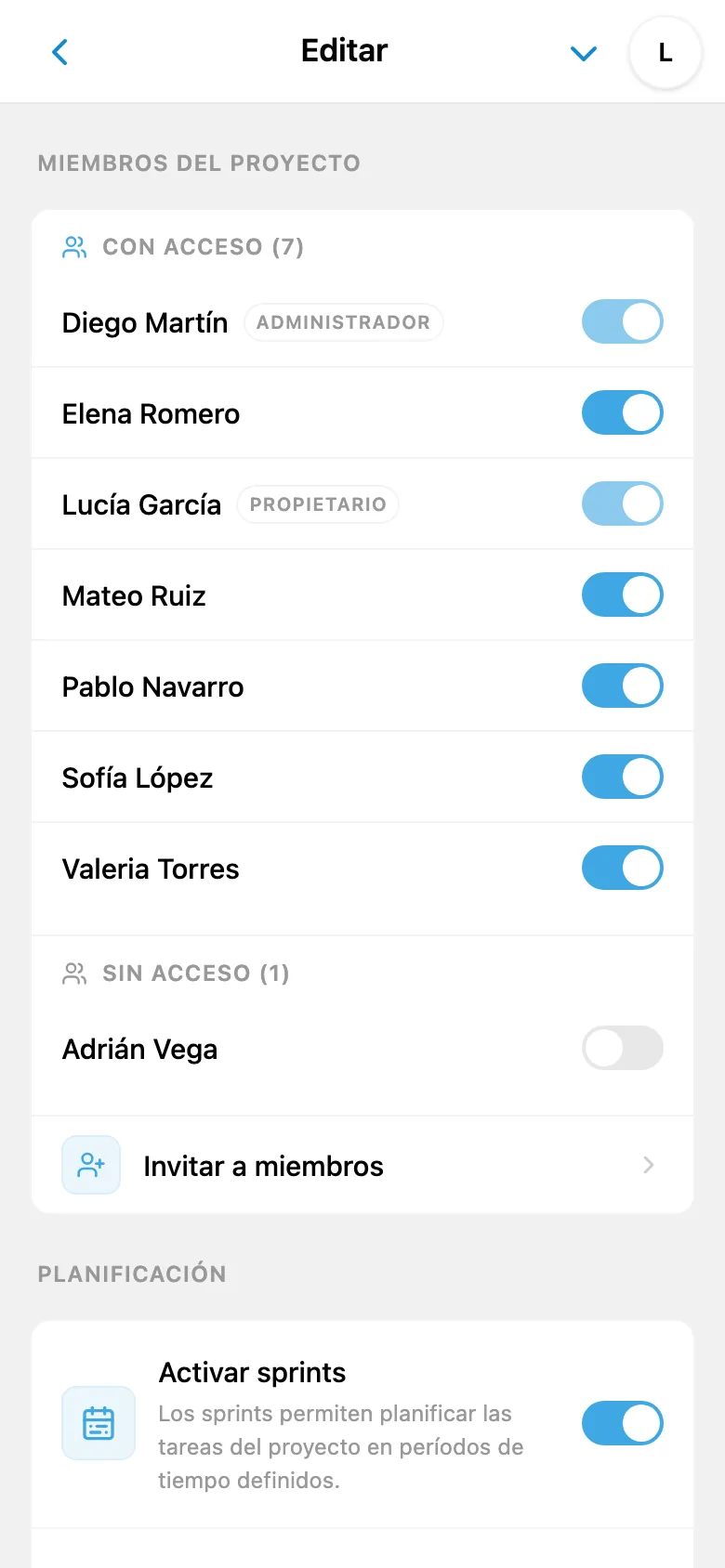 Ajustes de acceso al proyecto