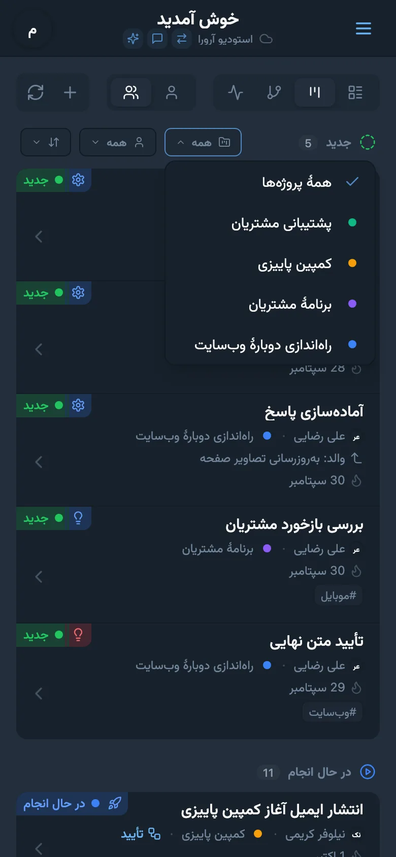 پنل فیلتر کارها بر اساس پروژه