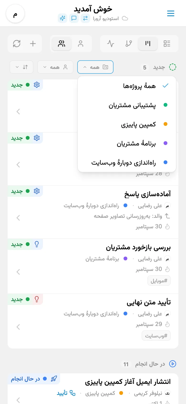 پنل فیلتر کارها بر اساس پروژه
