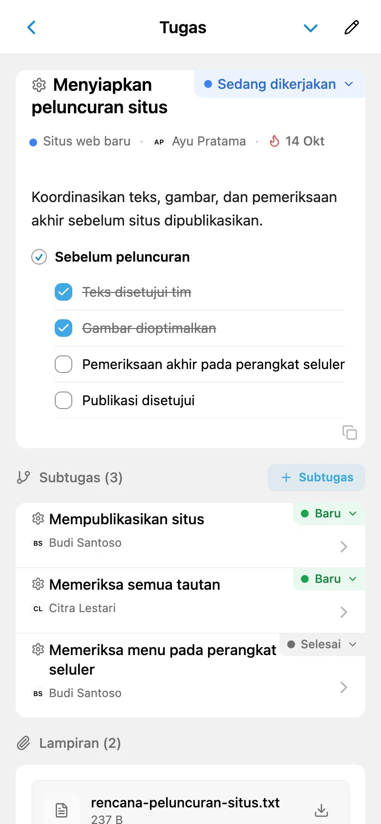 Kartu tugas situs web baru dengan penanggung jawab, daftar periksa, dan subtugas