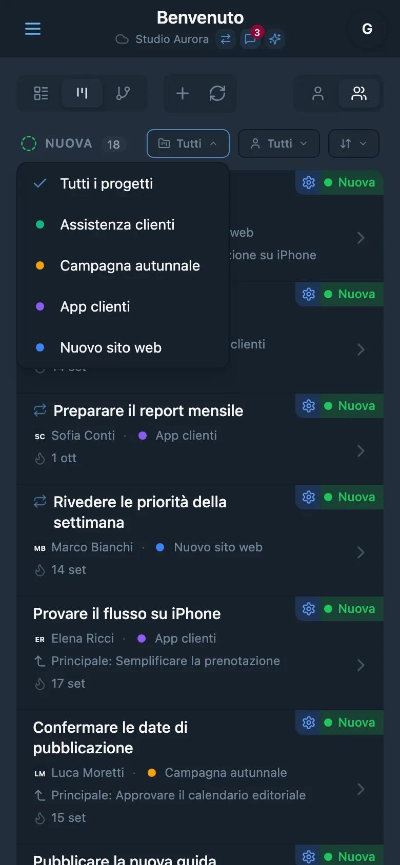 Pannello di filtro delle attività per progetto
