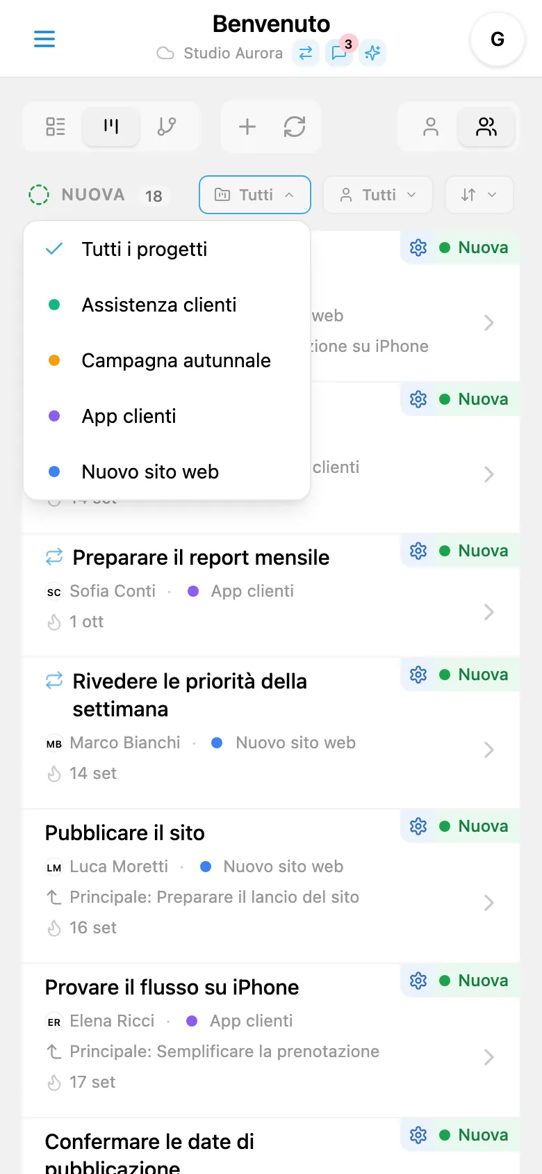 Pannello di filtro delle attività per progetto