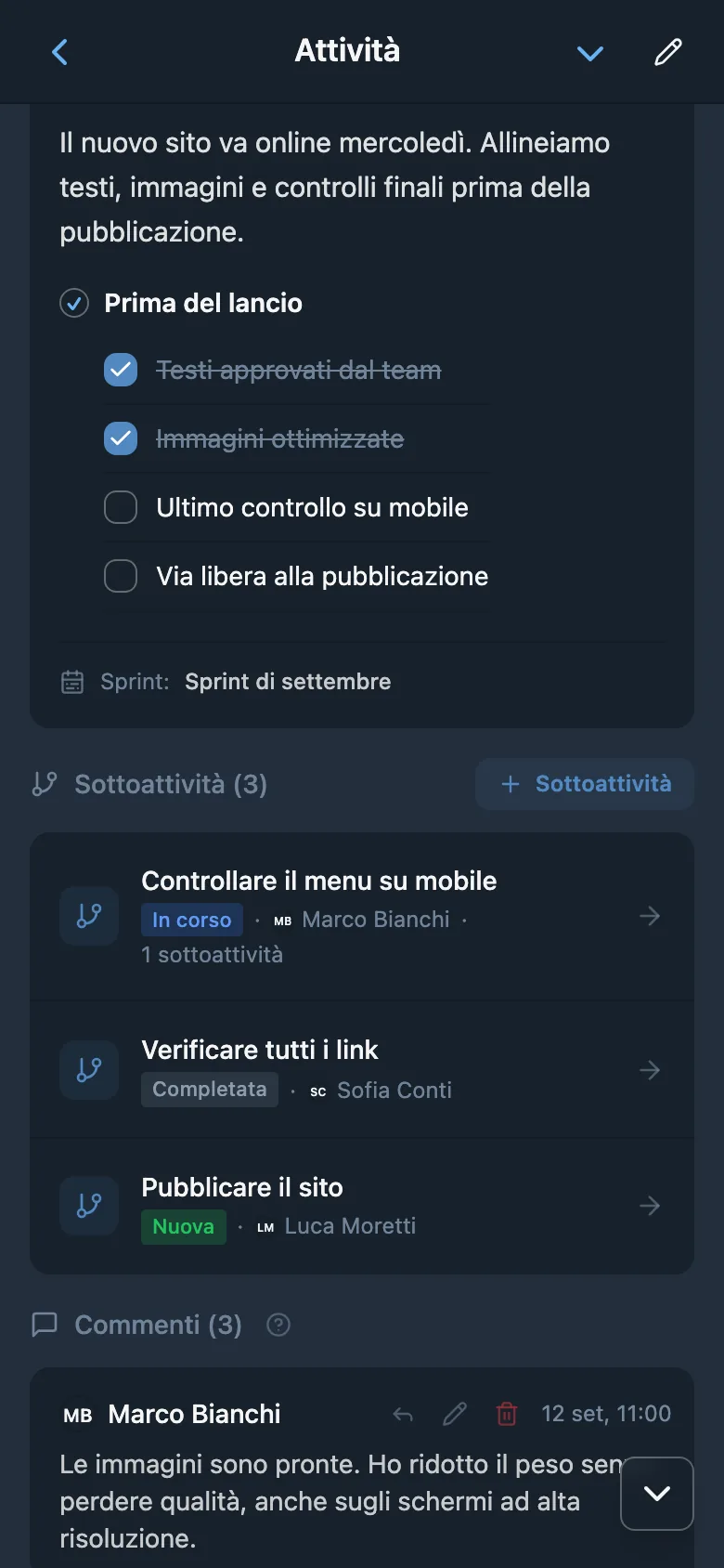 Scheda con l’elenco delle sottoattività, i relativi stati e responsabili