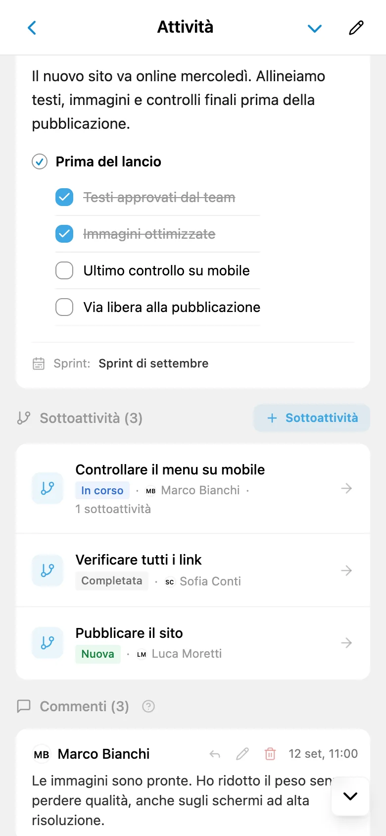 Scheda con l’elenco delle sottoattività, i relativi stati e responsabili