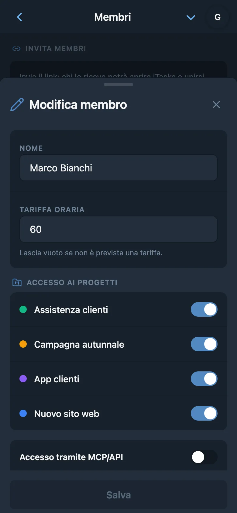 Tariffa oraria di un membro del team