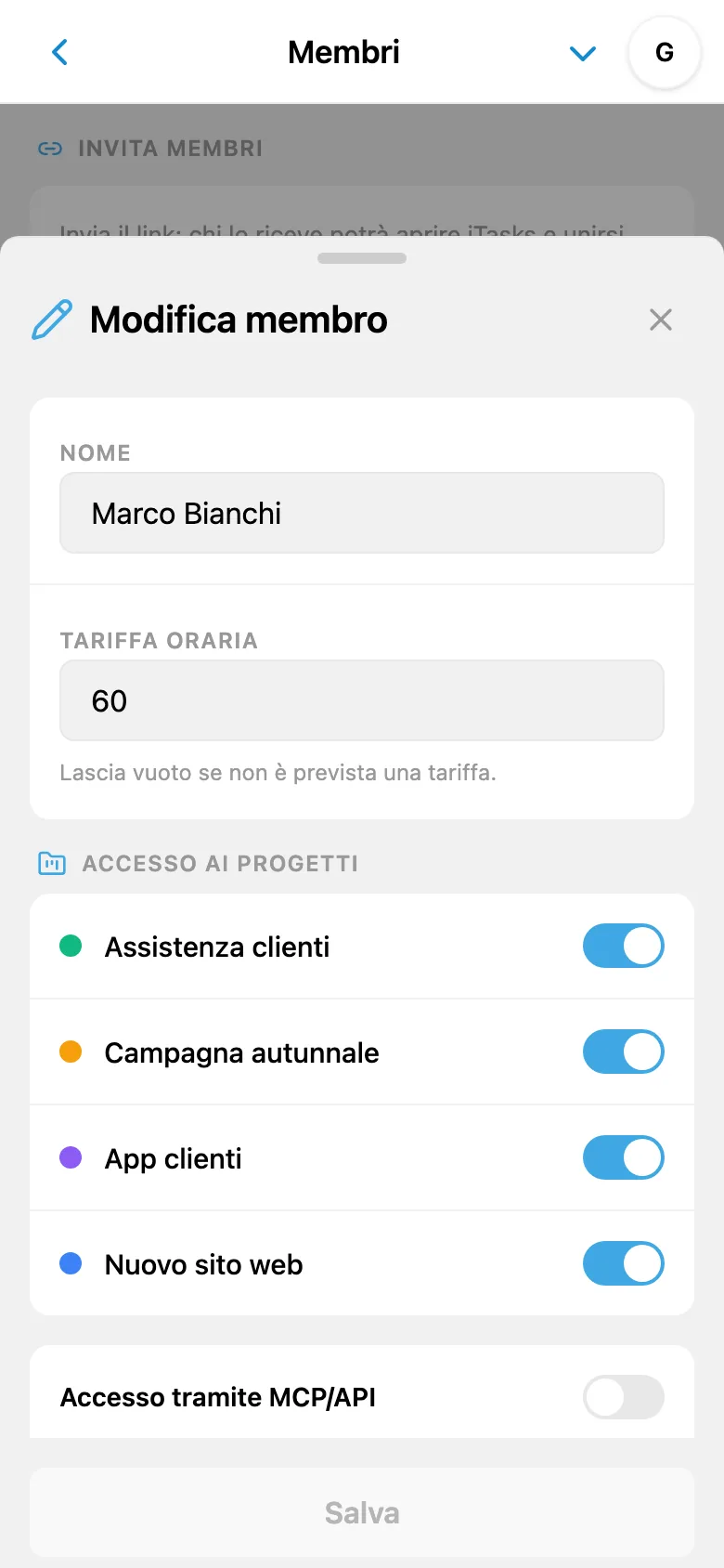 Tariffa oraria di un membro del team