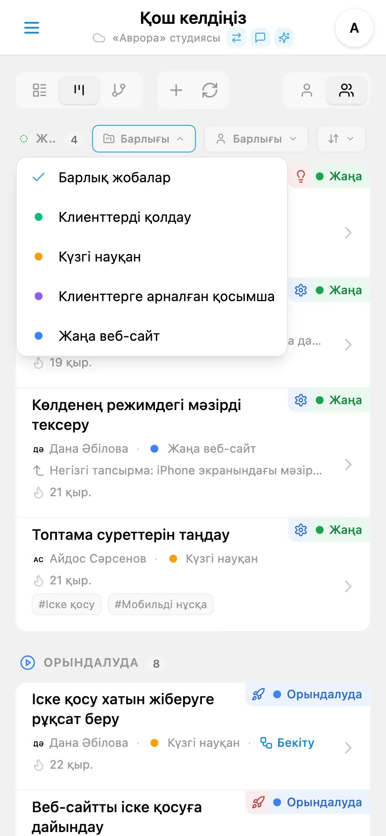 Тапсырмаларды жоба бойынша сүзу панелі