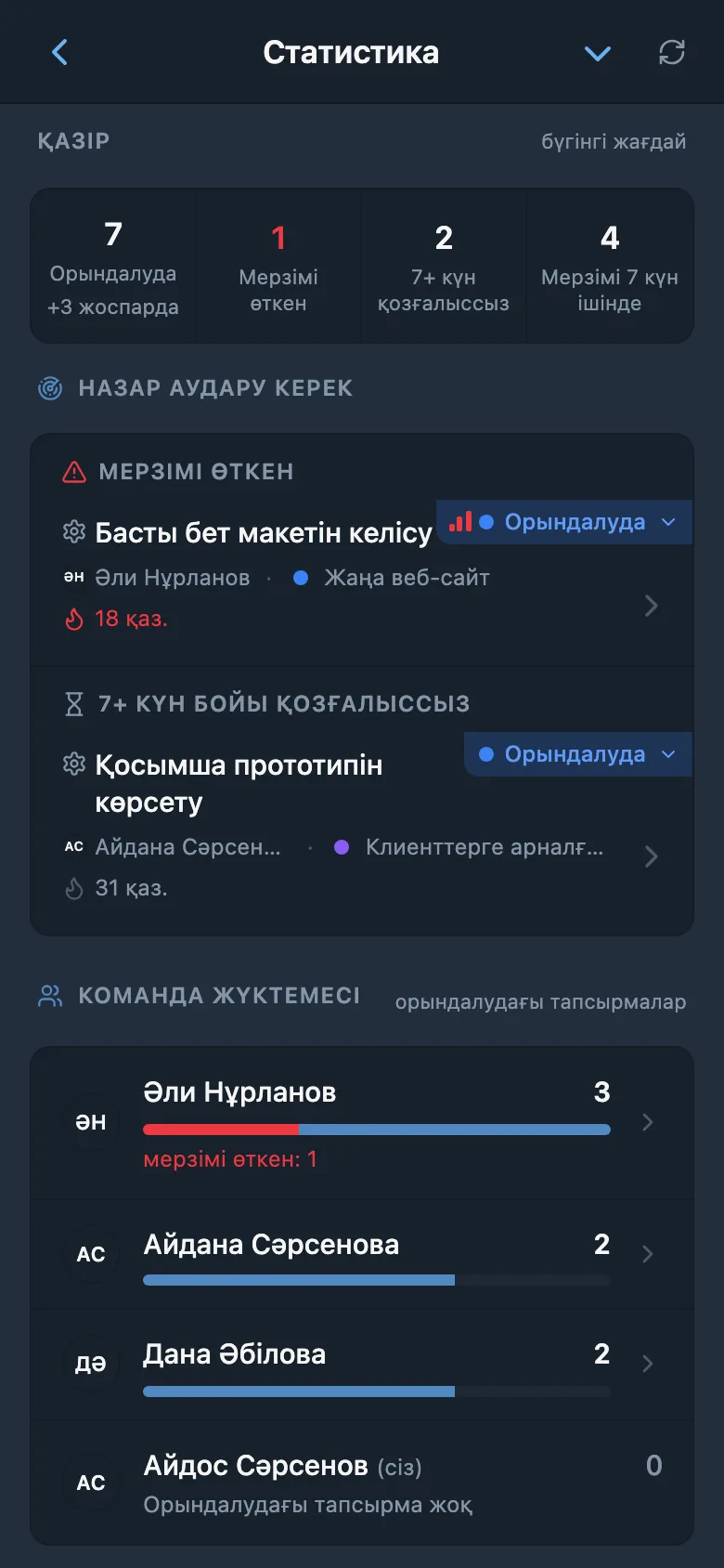 Жоба мен команда қатысушылары бойынша жұмыс статистикасы