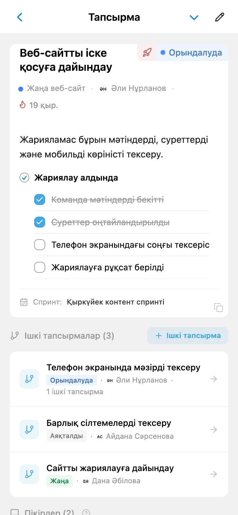 Жаңа веб-сайт тапсырмасының карточкасы: жауапты адам, чек-парақ және ішкі тапсырмалар