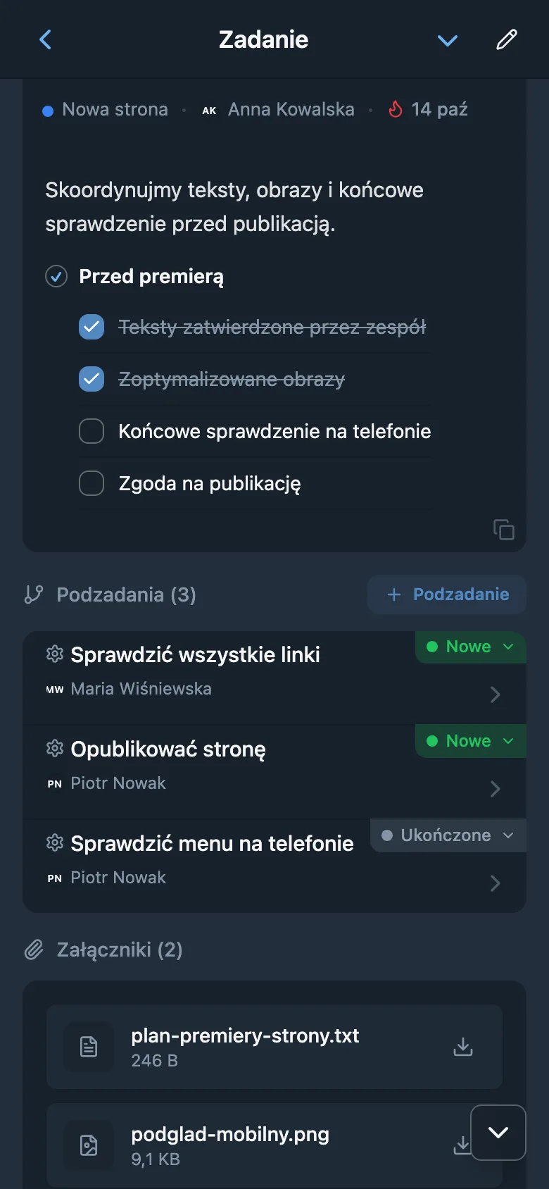 Karta zadania z podzadaniami, statusami i osobami odpowiedzialnymi