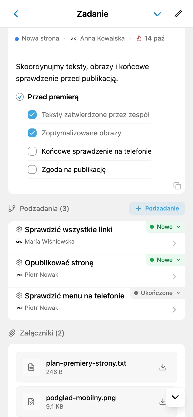 Karta zadania z podzadaniami, statusami i osobami odpowiedzialnymi