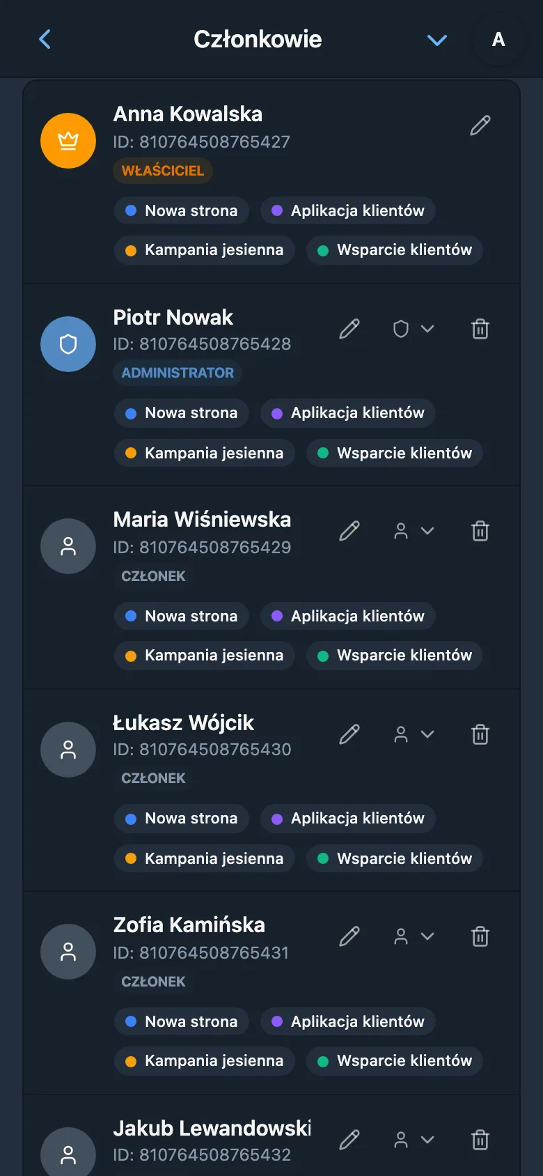 Lista członków obszaru roboczego z rolami
