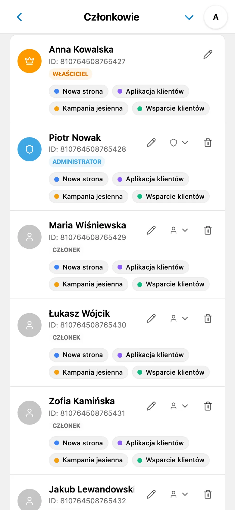 Lista członków obszaru roboczego z rolami