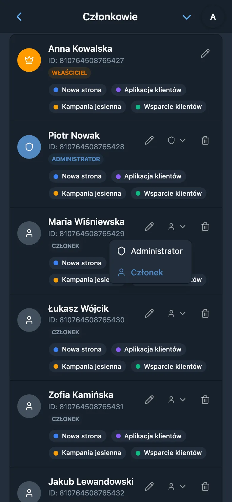 Wybór roli członka obszaru roboczego