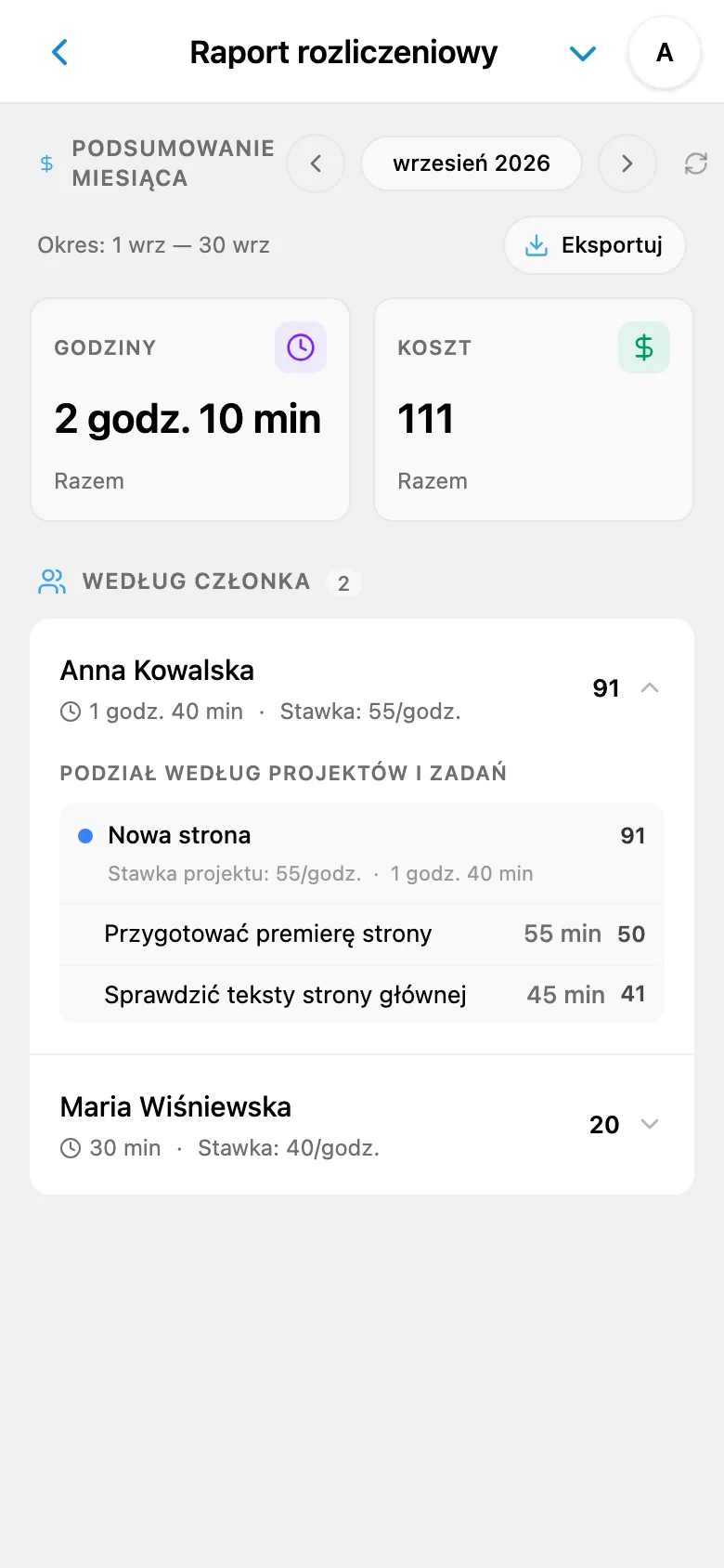 Miesięczny raport czasu i kosztów pracy